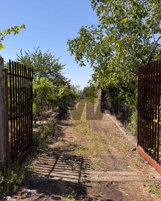 Terreno - Santa Maria di Licodia