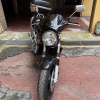 Honda-Hornet