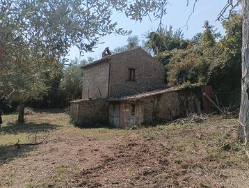 Immobile rurale con uliveto