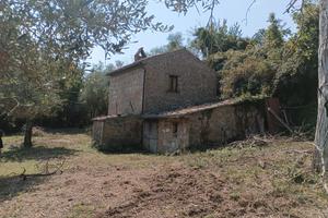 Immobile rurale con uliveto