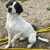 Micky 1 anno taglia media