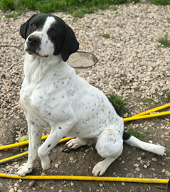 Micky 1 anno taglia media