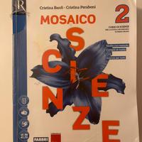 Libri medie Banfi Peraboni Mosaico Scienze