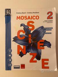 Libri medie Banfi Peraboni Mosaico Scienze