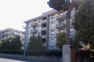 Cittadella Universitaria (medicina)