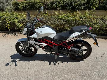 Benelli bn 125