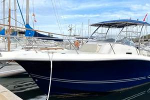 Kelt White Shark 298 del 2010