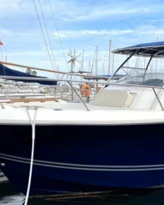 Kelt White Shark 298 del 2010