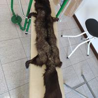 Sciarpa in vera volpe