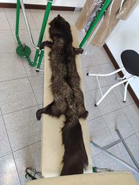 Sciarpa in vera volpe