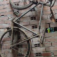bicicletta anni 50 freni bacchetta ammortizzata