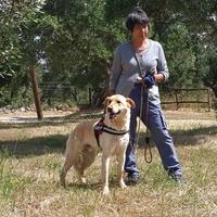 Ciabatta, simpatico e bravo desidera una casa sua