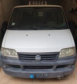 Furgone frigo fiat Ducato