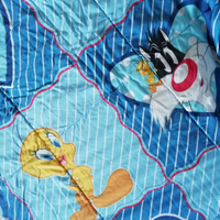 Trapunta singola invernale "BASSETTI"