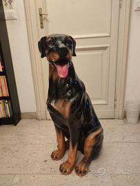 Cane rottwailer in ceramica 