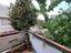 Immagine 25