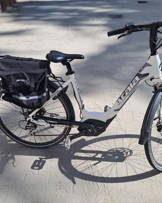 Bicicletta elettrica
