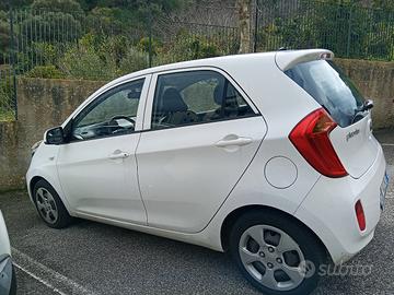 Picanto 12/2012