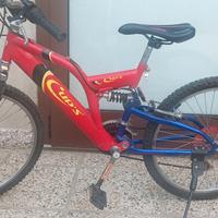 bicicletta raggio 24