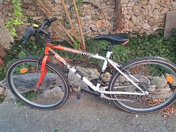 bici Mountain bike 