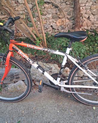 bici Mountain bike 