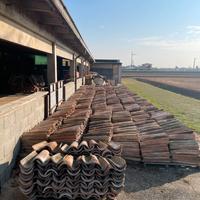 Tegole antiche 0,80 EUR/unità