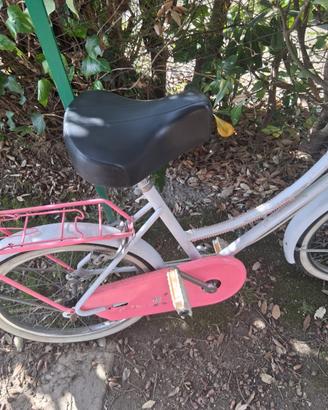 Bici 20 pollici