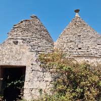 Trullo con due stanze e circa 7000 mq di terreno