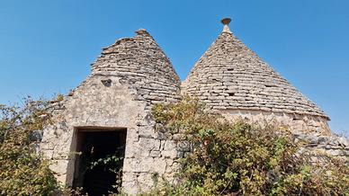 Trullo con due stanze e circa 7000 mq di terreno