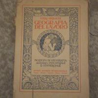 geografia del lavoro