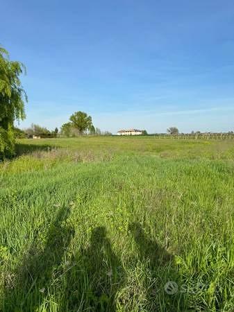 Terreno di 16000 m² a Castelfranco Emilia - Altro