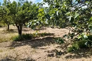 Terreno con rudere