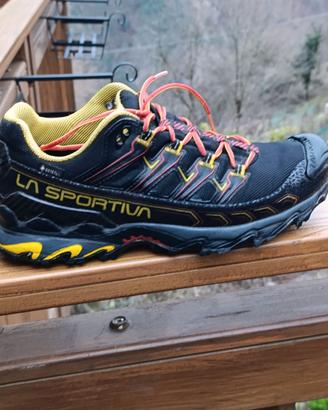 Scarpe ultra Raptor 2 gtx