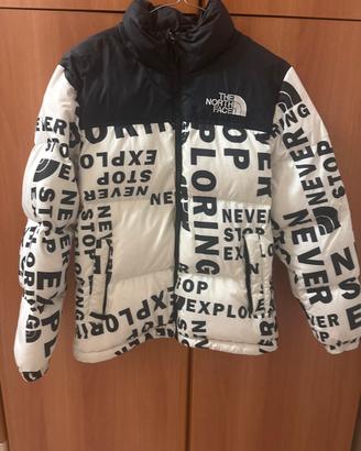 Giubbino the north face