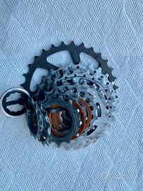 Pacco pignoni miche 11v