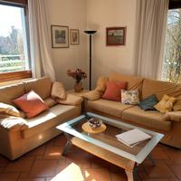 Coppia divani color senape sfoderabili