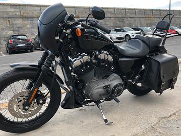 Cupolino Harley davidson burly