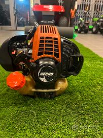 Tagliasiepi ad asta Echo