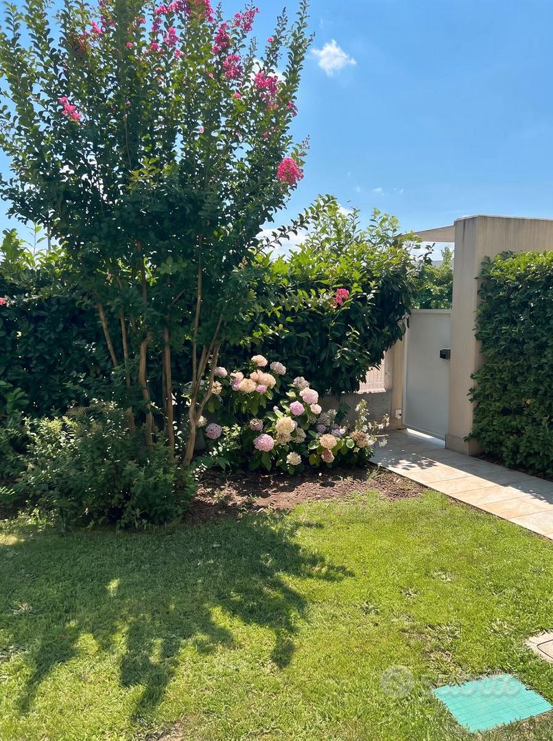 Appartamento – Ponzano Veneto, Zanella - Vista 4