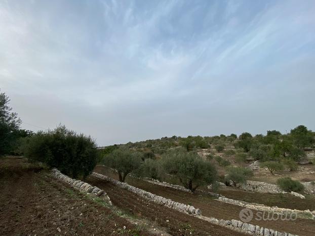 Terreno agricolo 10 tumuli