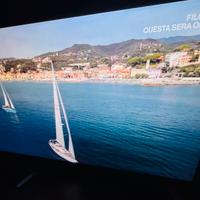 LG Smart TV 49”