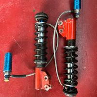 Ammortizzatori Clio Williams