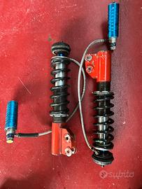 Ammortizzatori Clio Williams