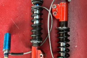 Ammortizzatori Clio Williams