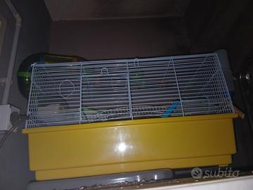 Cceti con gabbia grande