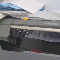 roland true vis  mg 300 