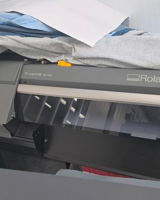 roland true vis  mg 300 