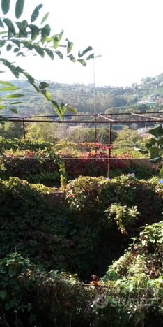 Casa con terreno a Camaro superiore