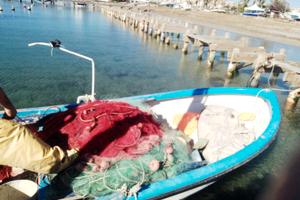 Barca  per mare a motore
