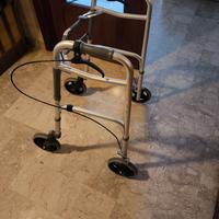Carrello deambulatore